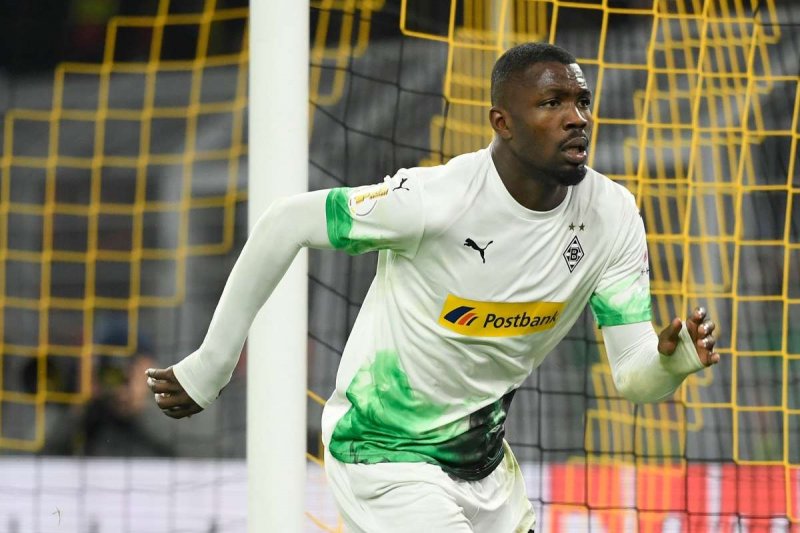 عکس کوسه دریای عمان بزرگترین کوسه جهان