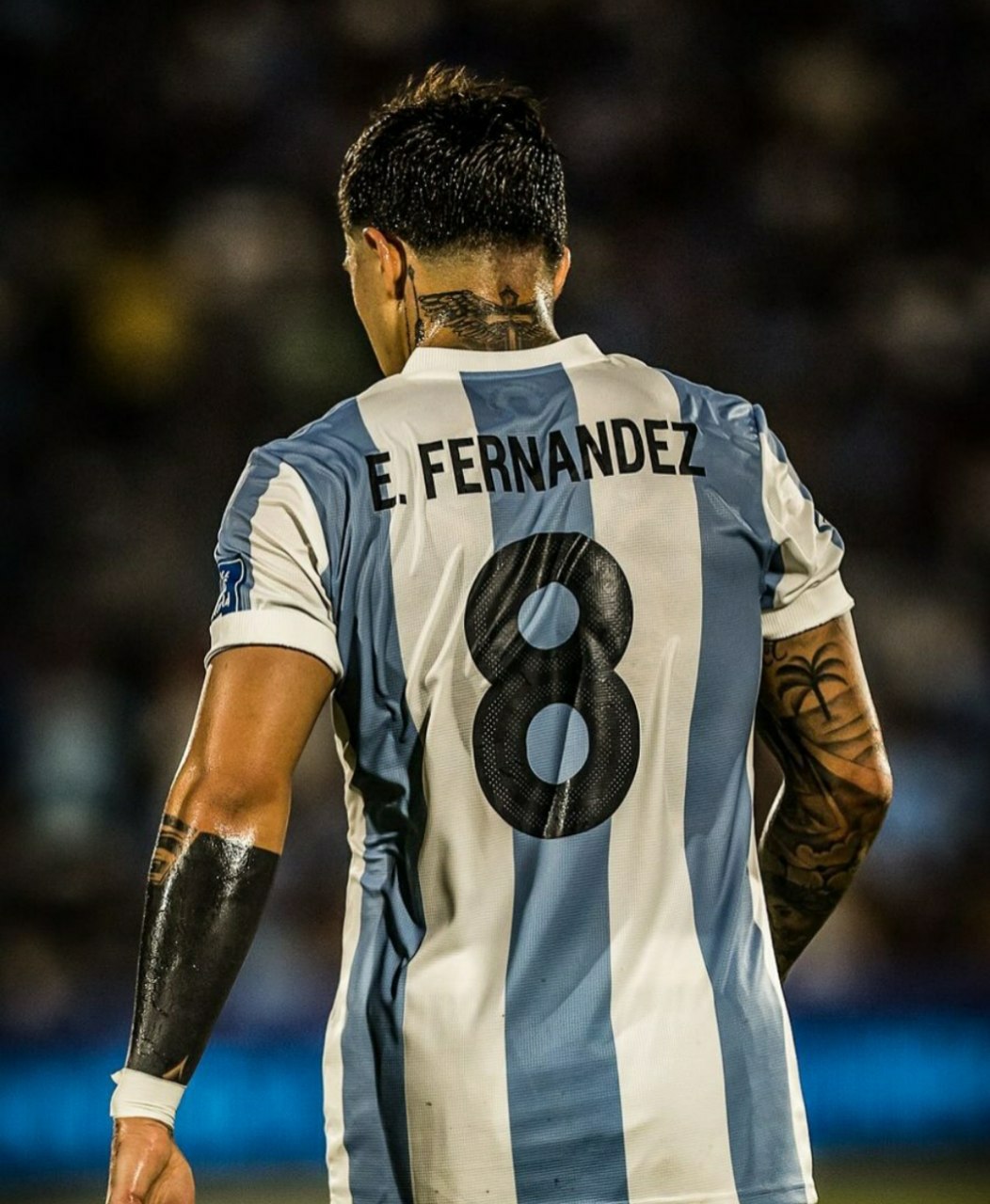 wallpaper Fernandez