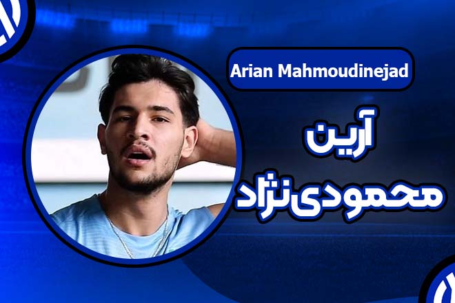 بیوگرافی آرین محمودی نژاد
